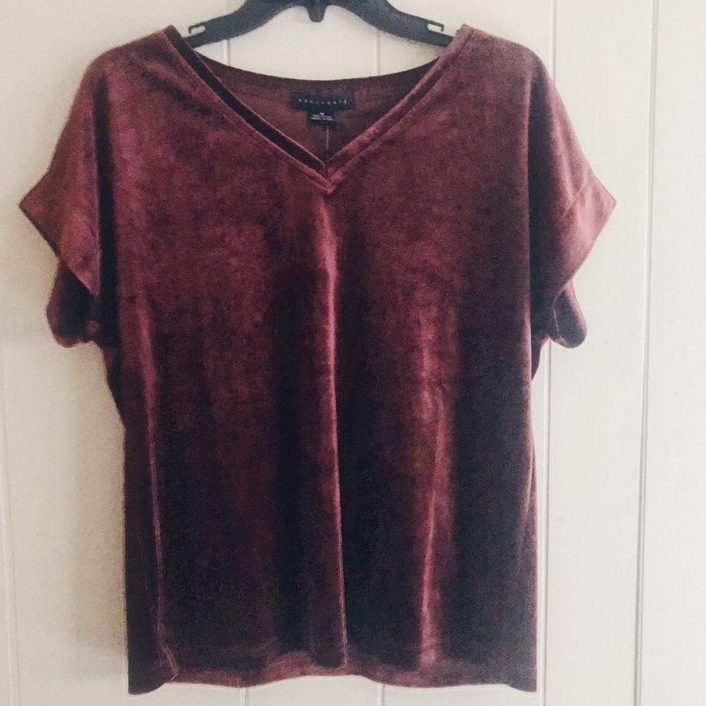 Sanctuary Burgundy Crushed Velvet VNeck Top NWT